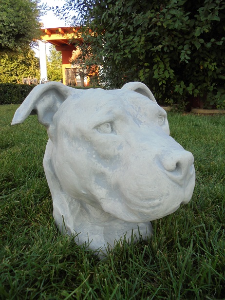 Büste, Hund, American Stafford, Gartenfigur, Skulptur